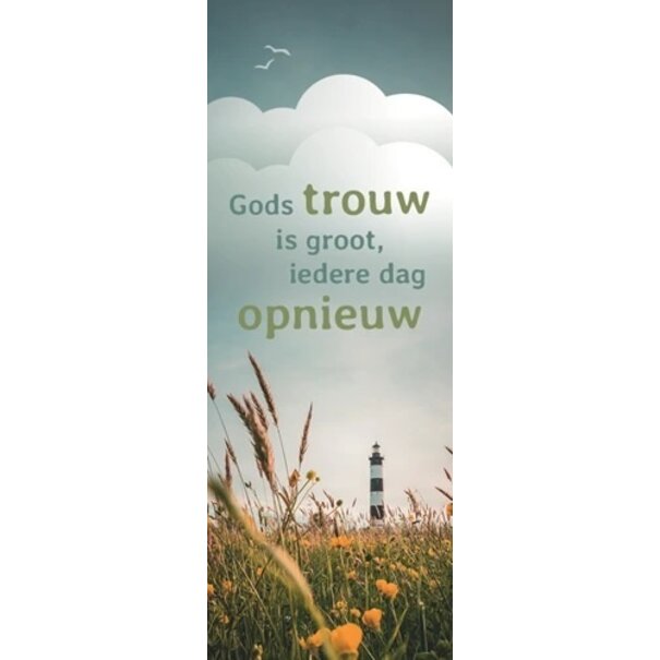 Baaij Light Cards Gods trouw