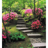 Blanco kaartje  - Park