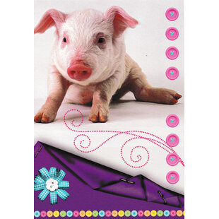 Blanco kaart met varkentje