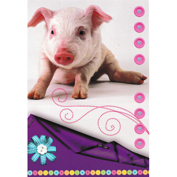 Marant Cards Blanco kaart met varkentje