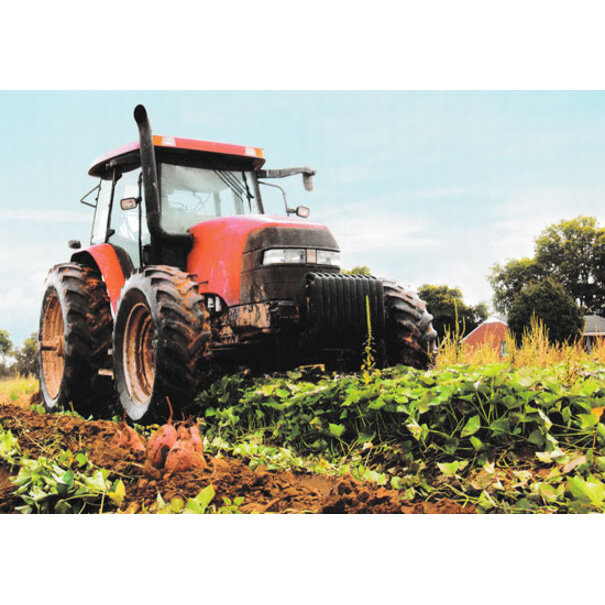 Marant Cards Trekker