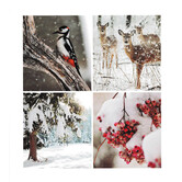 Blanco kaartje  - Winter