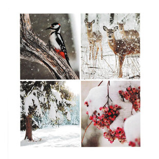 Blanco kaartje  - Winter