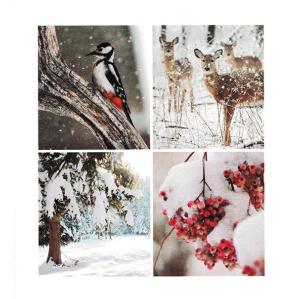 Marant Cards Blanco kaartje  - Winter