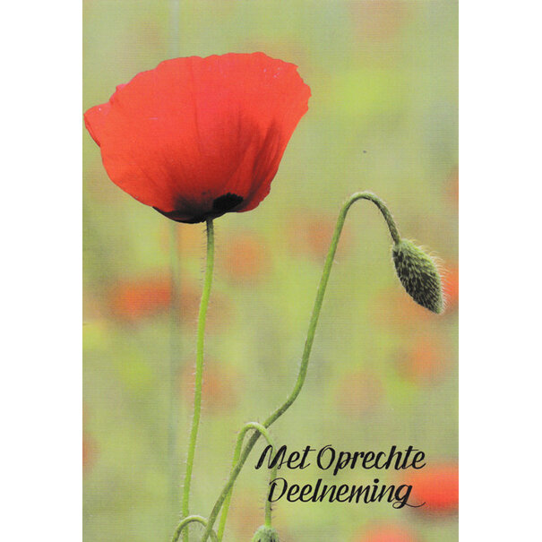 Marant Cards Deelneming - Klaproosje