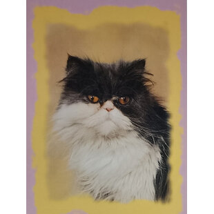 Restant Poeskaarten (10 stuks)