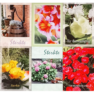 Restant Postkaart Sterkte (6st)