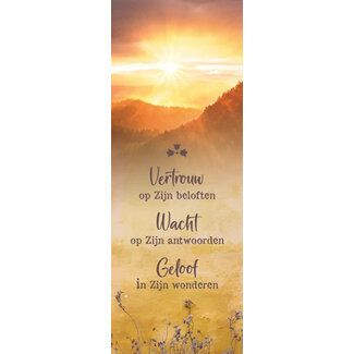 Baaij Light Cards Vertrouw, wacht, geloof