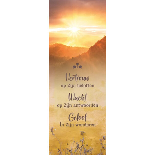 Baaij Light Cards Vertrouw, wacht, geloof