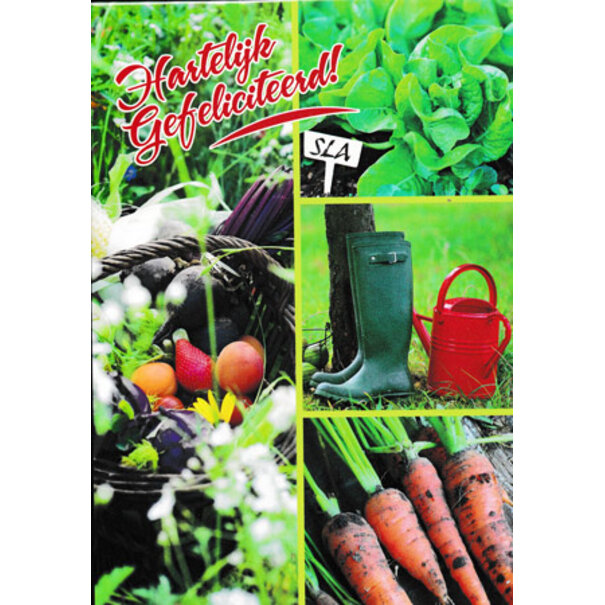 Marant Cards Postkaart Hartelijk Gefeliciteerd