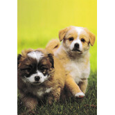 Blanco kaart met Puppy