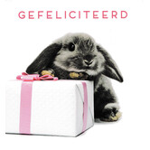 Gefeliciteerd