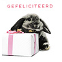 Gefeliciteerd