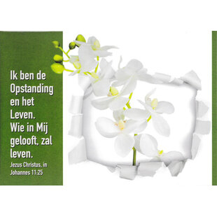 Ik ben de Opstanding