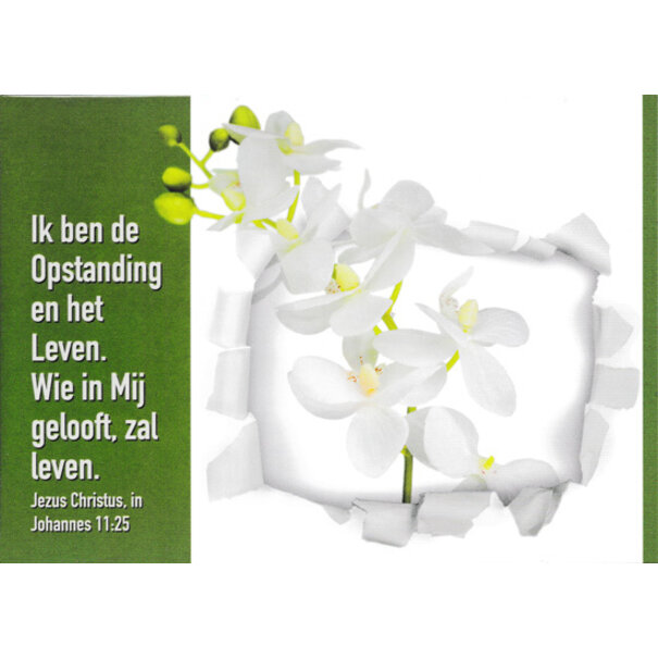 Good Seed Cards Ik ben de Opstanding