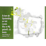 Good Seed Cards Ik ben de Opstanding