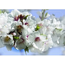 Ansichtkaart met Bijbeltekst