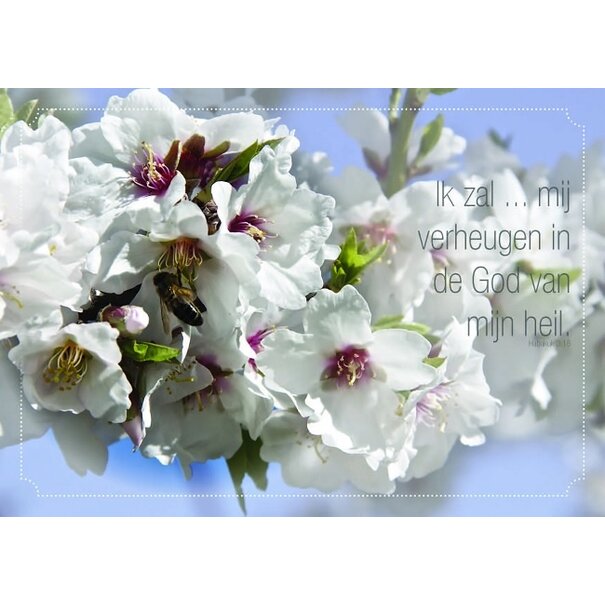 Good Seed Cards Ansichtkaart met Bijbeltekst