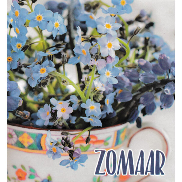 Marant Cards Zomaar