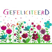 Gefeliciteerd