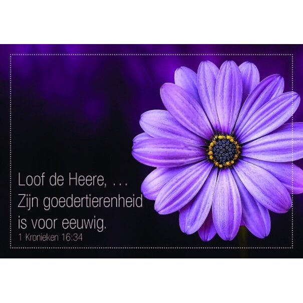 Good Seed Cards Loof de Heere