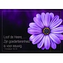 Loof de Heere