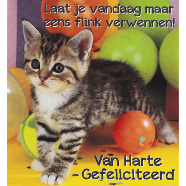 Marant Cards Verwennen