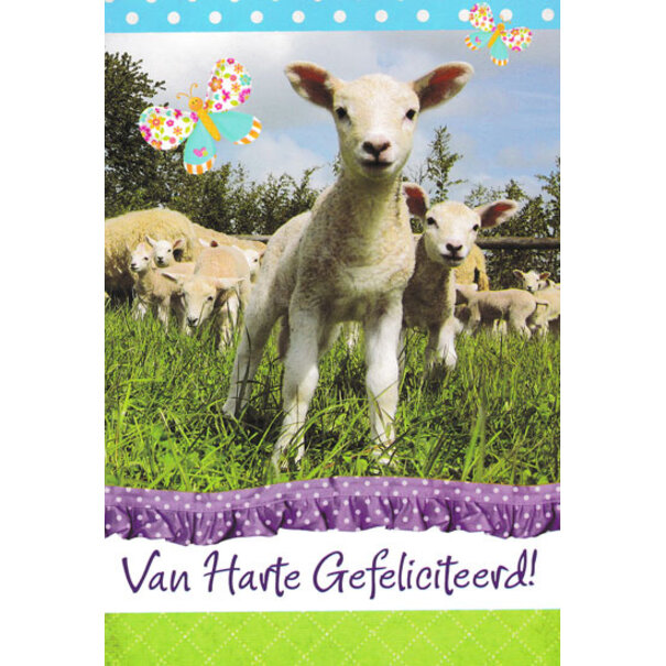 Marant Cards Gefeliciteerd - Lammetjes