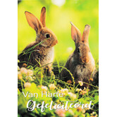 Gefeliciteerd - Konijntje