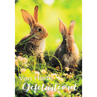 Marant Cards Gefeliciteerd - Konijntje