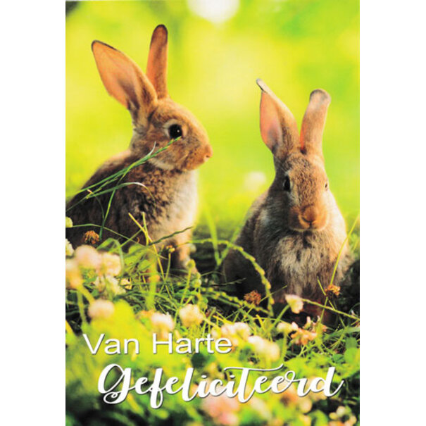 Marant Cards Gefeliciteerd - Konijntje