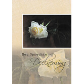 Oprechte Deelneming - Roos