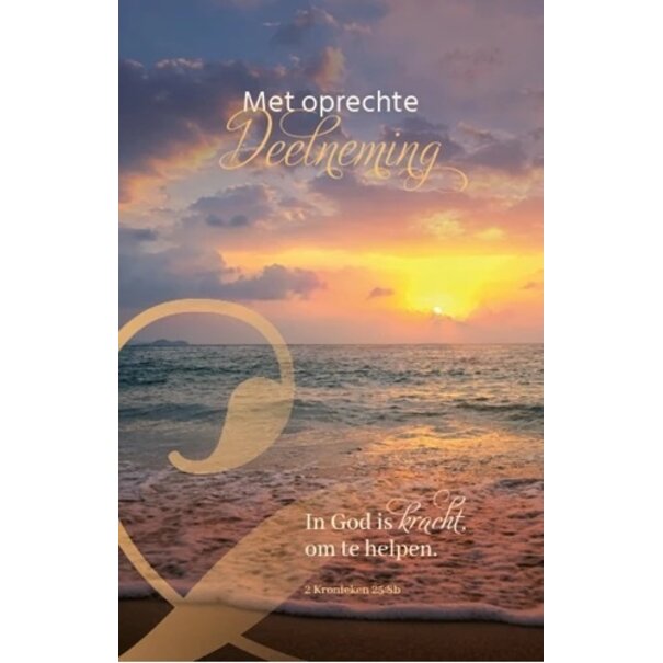 Baaij Light Cards 4x Deelneming