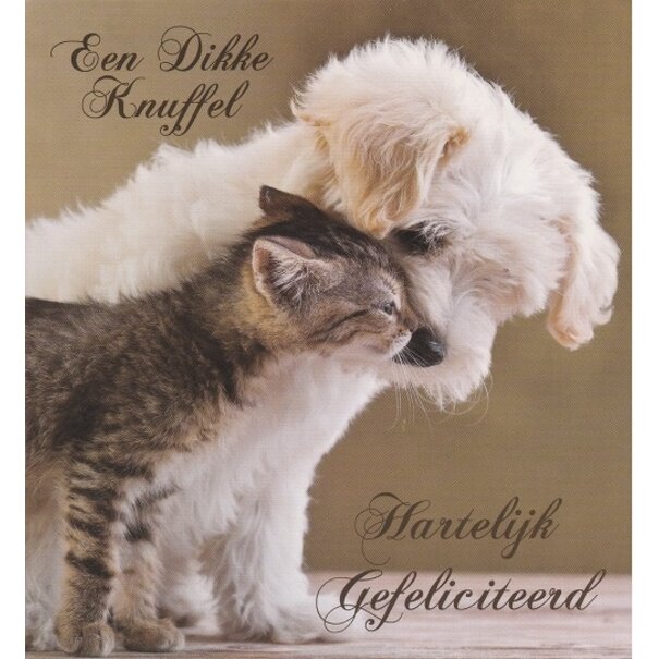Marant Cards Dikke knuffel!