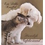 Marant Cards Dikke knuffel!