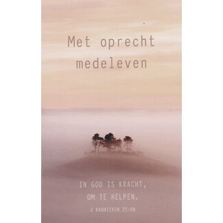 Baaij Light Cards 4x Deelneming