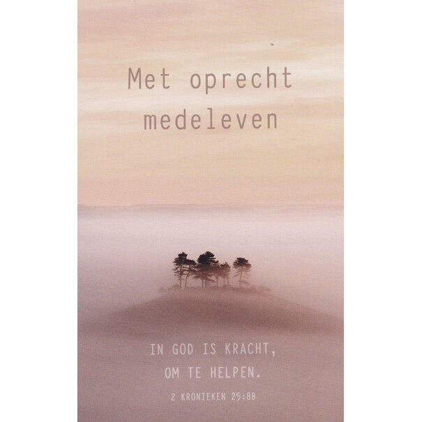 Baaij Light Cards 4x Deelneming
