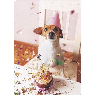 Hartung Feest hondje met kaarsje