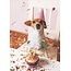 Hartung Feest hondje met kaarsje
