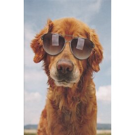 Hond