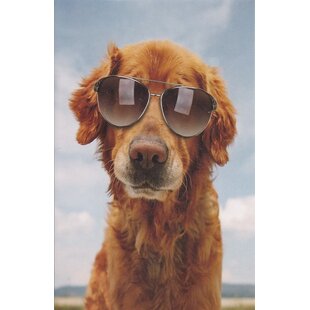 Hond