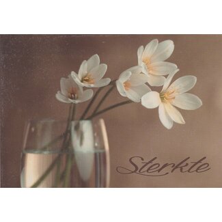 Marant Cards Sterkte