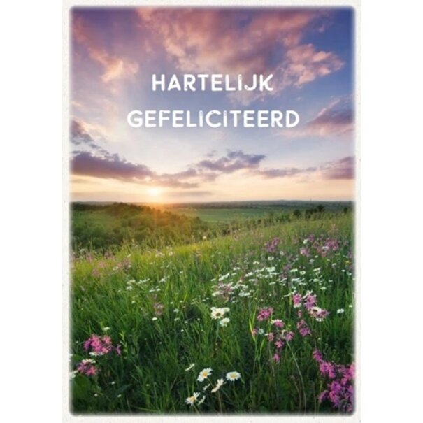 Baaij Light Cards Hartelijk Gefeliciteerd