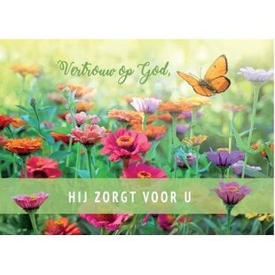 Vertrouwen