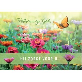 Baaij Light Cards Vertrouwen
