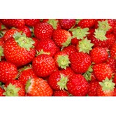 Aardbeien