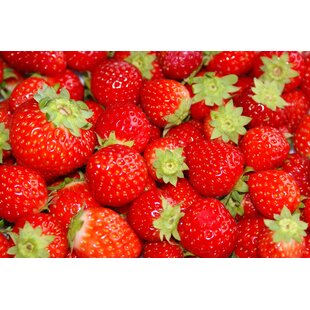 Ansichtkaart Aardbeien