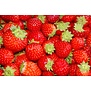 Aardbeien