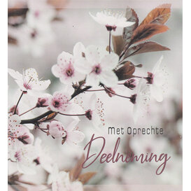 Deelneming - Bloesem