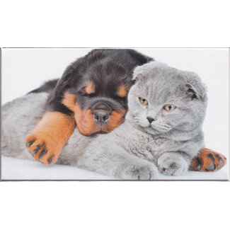 Marant Cards Kado enveloppe - Kat en Hond